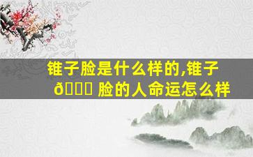 锥子脸是什么样的,锥子 🐘 脸的人命运怎么样